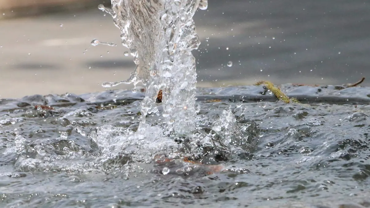 david- Cultura del agua........